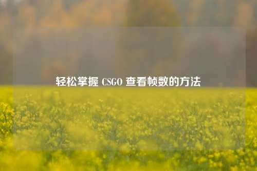 轻松掌握 CSGO 查看帧数的方法