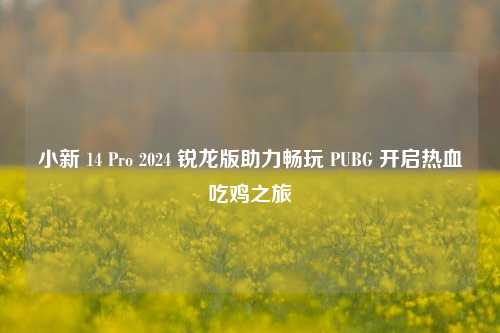 小新 14 Pro 2024 锐龙版助力畅玩 PUBG 开启热血吃鸡之旅
