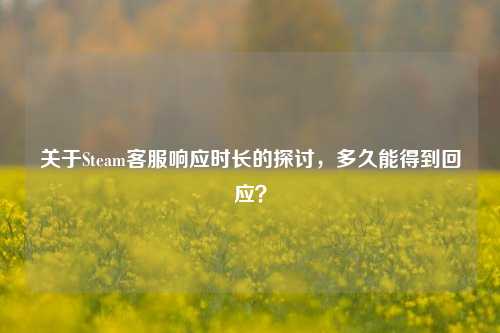 关于Steam客服响应时长的探讨,多久能得到回应?