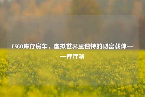 CSGO库存房车,虚拟世界里独特的财富载体——库存箱