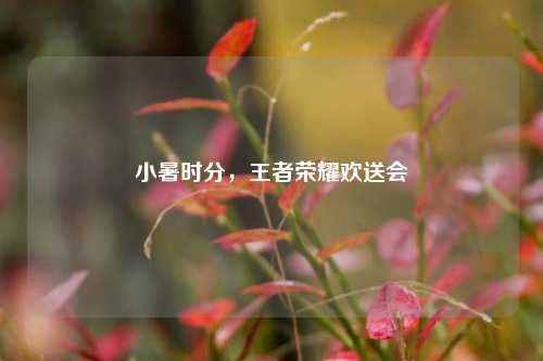 小暑时分，王者荣耀欢送会