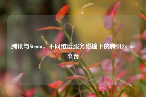 腾讯与Steam，不同维度服务碰撞下的腾讯Steam平台