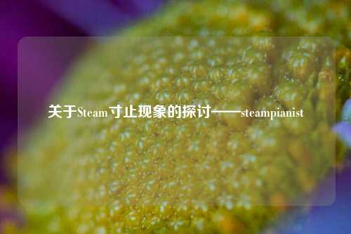 关于Steam寸止现象的探讨——steampianist