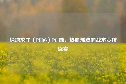 绝地求生（PUBG）PC 端，热血沸腾的战术竞技盛宴