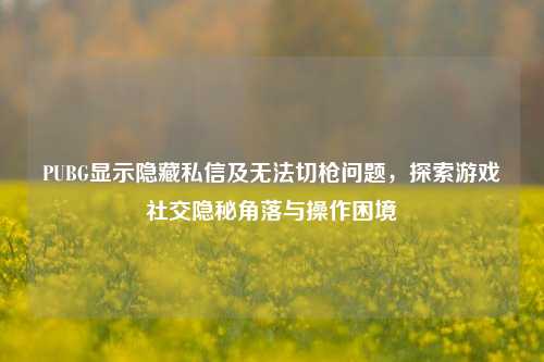 PUBG显示隐藏私信及无法切枪问题，探索游戏社交隐秘角落与操作困境
