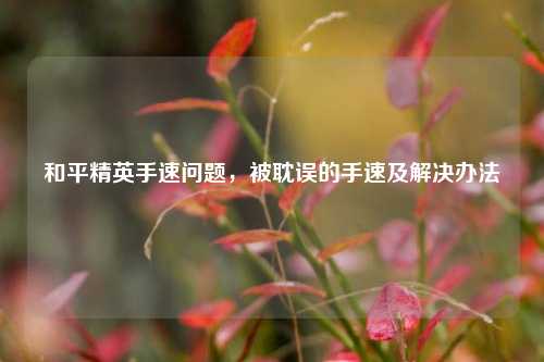 和平精英手速问题,被耽误的手速及解决办法