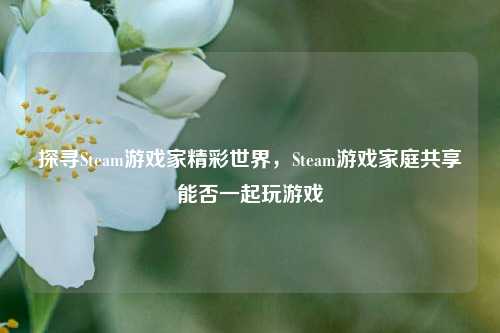 探寻Steam游戏家精彩世界,Steam游戏家庭共享能否一起玩游戏