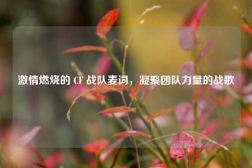 激情燃烧的 CF 战队麦词，凝聚团队力量的战歌