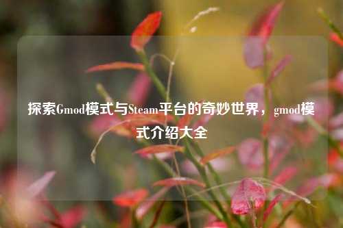 探索Gmod模式与Steam平台的奇妙世界,gmod模式介绍大全