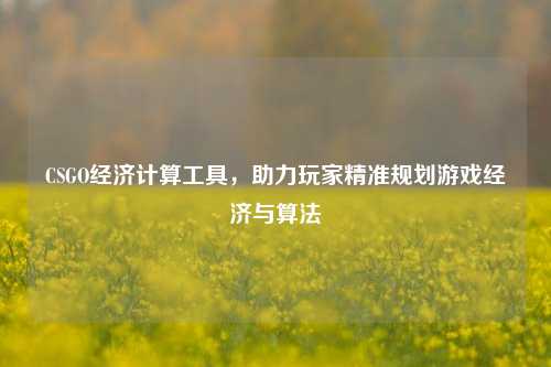 CSGO经济计算工具,助力玩家精准规划游戏经济与算法