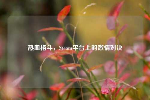 热血格斗,Steam平台上的激情对决