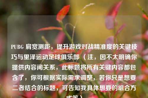 PUBG 肩宽测距，提升游戏对战精准度的关键技巧与里泽运动足球俱乐部 （注，因不太明确你提供内容间关系，此标题将所有关键内容都包含了，你可根据实际需求调整，若你只是想要二者结合的标题，可告知我具体想要的组合方式等）