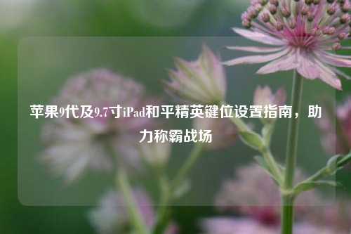 苹果9代及9.7寸iPad和平精英键位设置指南，助力称霸战场