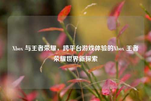 Xbox 与王者荣耀,跨平台游戏体验的Xbox 王者荣耀世界新探索