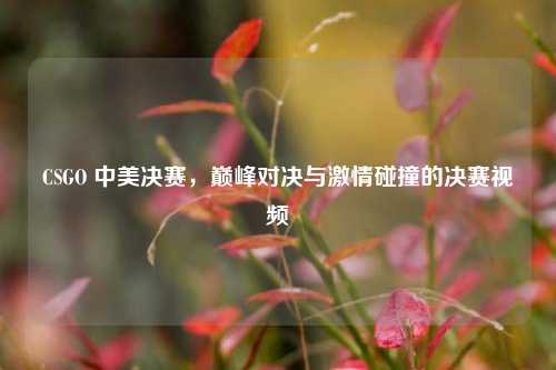 CSGO 中美决赛,巅峰对决与激情碰撞的决赛视频