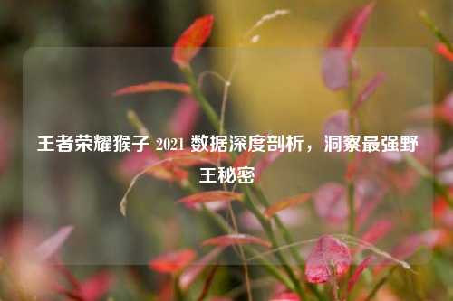 王者荣耀猴子 2021 数据深度剖析,洞察最强野王秘密