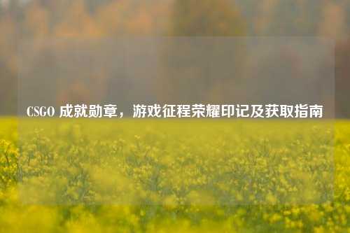 CSGO 成就勋章,游戏征程荣耀印记及获取指南