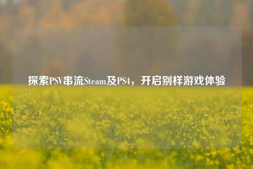 探索PSV串流Steam及PS4，开启别样游戏体验
