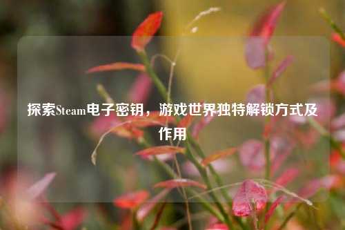 探索Steam电子密钥，游戏世界独特解锁方式及作用