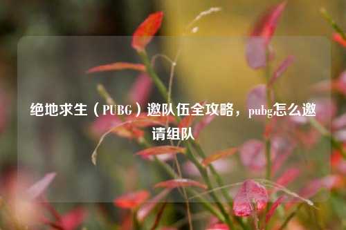 绝地求生(PUBG)邀队伍全攻略,pubg怎么邀请组队