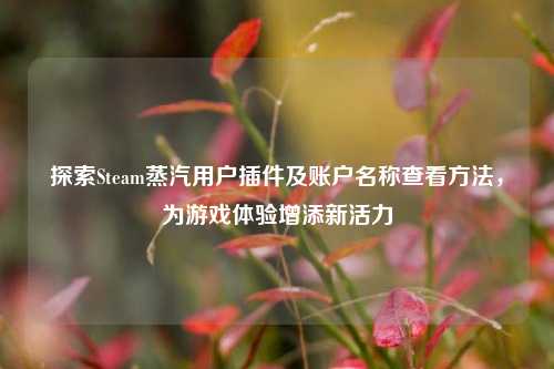 探索Steam蒸汽用户插件及账户名称查看方法，为游戏体验增添新活力