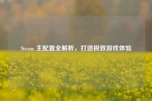 Steam 主配置全解析,打造极致游戏体验