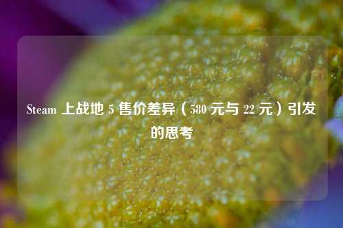 Steam 上战地 5 售价差异(580 元与 22 元)引发的思考