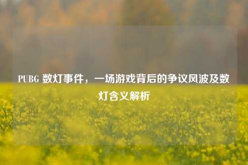 PUBG 数灯事件,一场游戏背后的争议风波及数灯含义解析