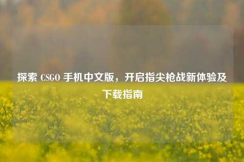 探索 CSGO 手机中文版，开启指尖枪战新体验及下载指南