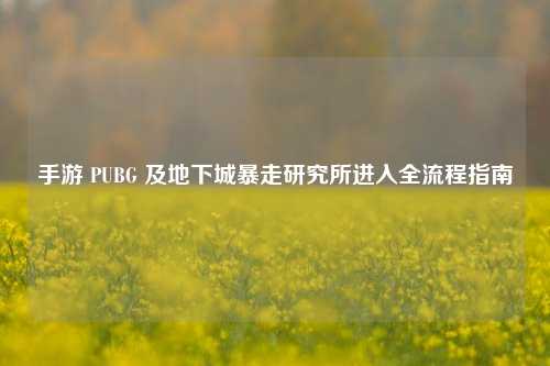 手游 PUBG 及地下城暴走研究所进入全流程指南