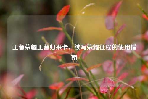 王者荣耀王者归来卡,续写荣耀征程的使用指南