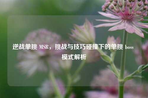 逆战单挑 MSR，挑战与技巧碰撞下的单挑 boss 模式解析