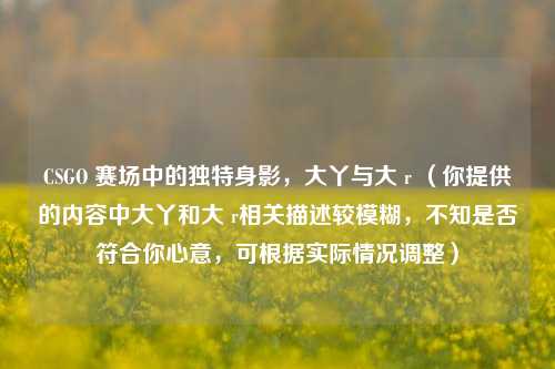 CSGO 赛场中的独特身影,大丫与大 r (你提供的内容中大丫和大 r相关描述较模糊,不知是否符合你心意,可根据实际情况调整)