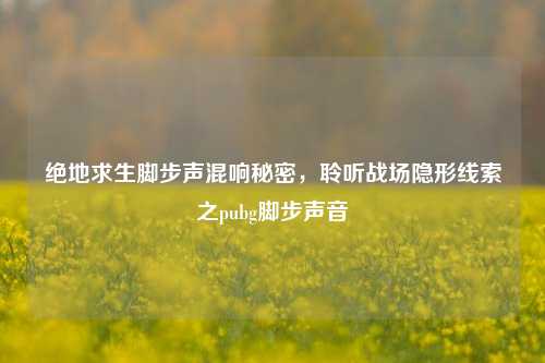 绝地求生脚步声混响秘密,聆听战场隐形线索之pubg脚步声音