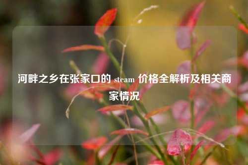 河畔之乡在张家口的 steam 价格全解析及相关商家情况