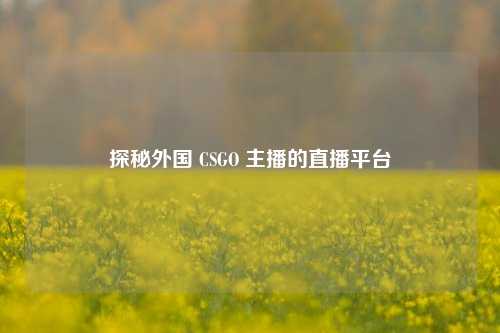 探秘外国 CSGO 主播的直播平台