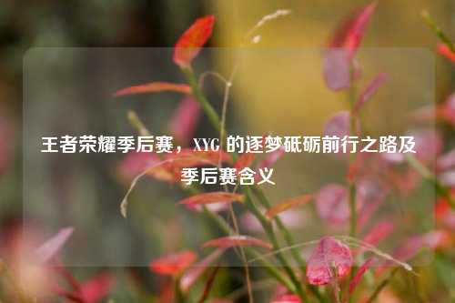 王者荣耀季后赛,XYG 的逐梦砥砺前行之路及季后赛含义