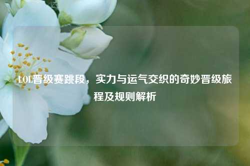 LOL晋级赛跳段,实力与运气交织的奇妙晋级旅程及规则解析