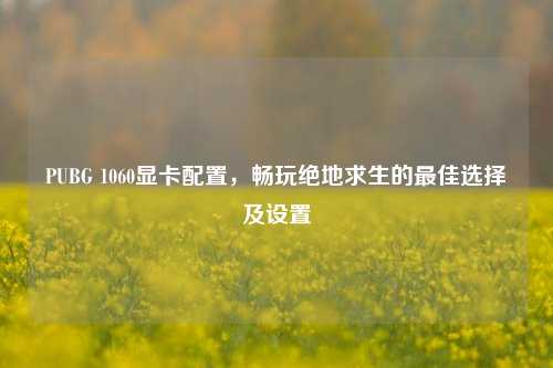 PUBG 1060显卡配置，畅玩绝地求生的最佳选择及设置