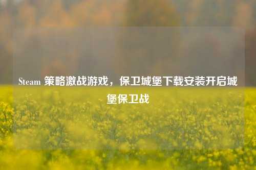 Steam 策略激战游戏,保卫城堡下载安装开启城堡保卫战
