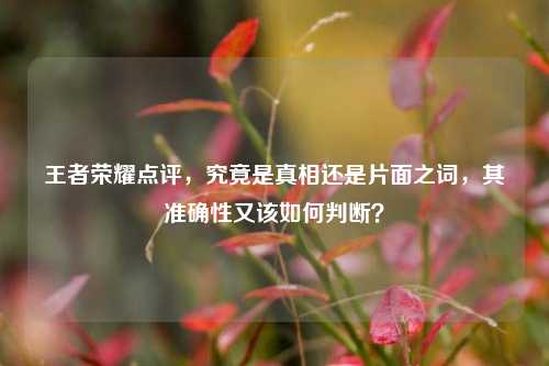 王者荣耀点评,究竟是真相还是片面之词,其准确性又该如何判断?