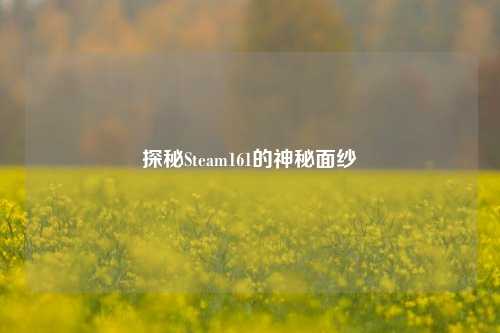 探秘Steam161的神秘面纱