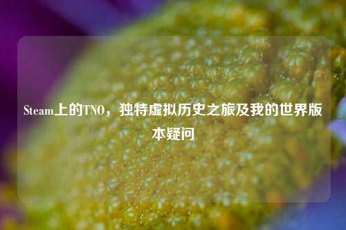 Steam上的TNO，独特虚拟历史之旅及我的世界版本疑问