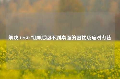 解决 CSGO 切屏后回不到桌面的困扰及应对办法