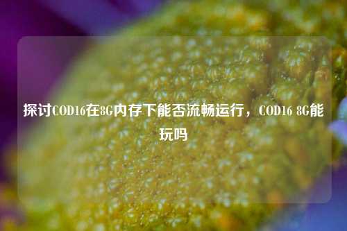 探讨COD16在8G内存下能否流畅运行，COD16 8G能玩吗