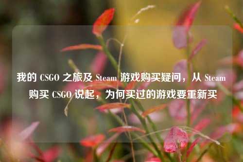 我的 CSGO 之旅及 Steam 游戏购买疑问,从 Steam 购买 CSGO 说起,为何买过的游戏要重新买