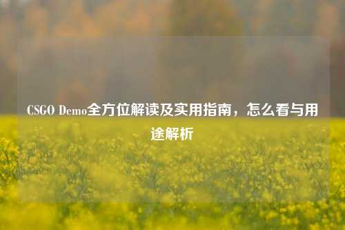 CSGO Demo全方位解读及实用指南,怎么看与用途解析