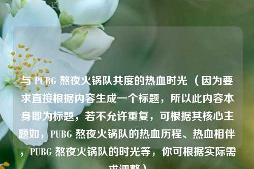 与 PUBG 熬夜火锅队共度的热血时光 (因为要求直接根据内容生成一个标题,所以此内容本身即为标题,若不允许重复,可根据其核心主题如,PUBG 熬夜火锅队的热血历程、热血相伴,PUBG 熬夜火锅队的时光等,你可根据实际需求调整)