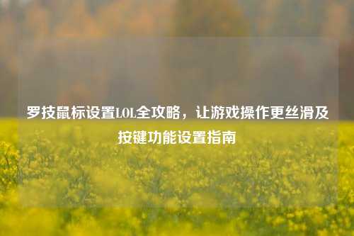 罗技鼠标设置LOL全攻略，让游戏操作更丝滑及按键功能设置指南