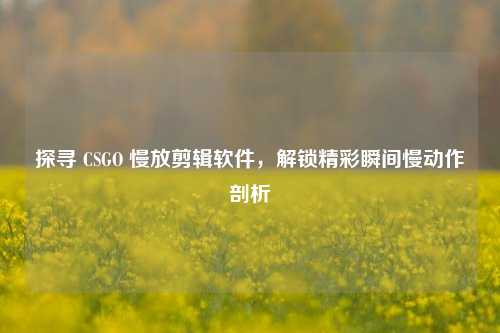 探寻 CSGO 慢放剪辑软件,解锁精彩瞬间慢动作剖析